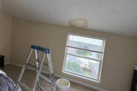 A brown water ring on a white textured ceiling where it meets the wall above a window, with a step ladder and a bucket on the carpet below
