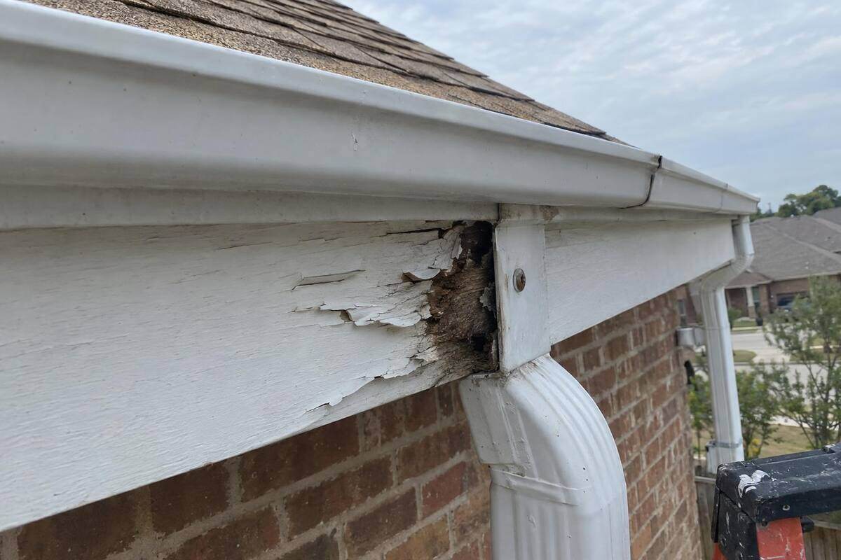 A length of fascia board with peeling white paint and a dark soft patch where a downspout strap is screwed in, against a sky with thin clouds