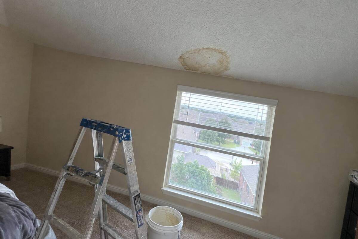 A brown water ring on a white textured ceiling where it meets the wall above a window, with a step ladder and a bucket on the carpet below